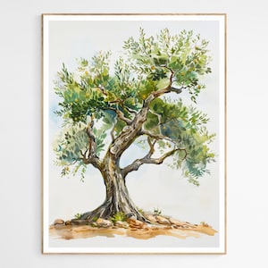 Beautiful Olive Tree Art Print | Traditional Palestinian Decor, Living Room Decor for Muslims, Arabic Art, Middle Eastern Decor