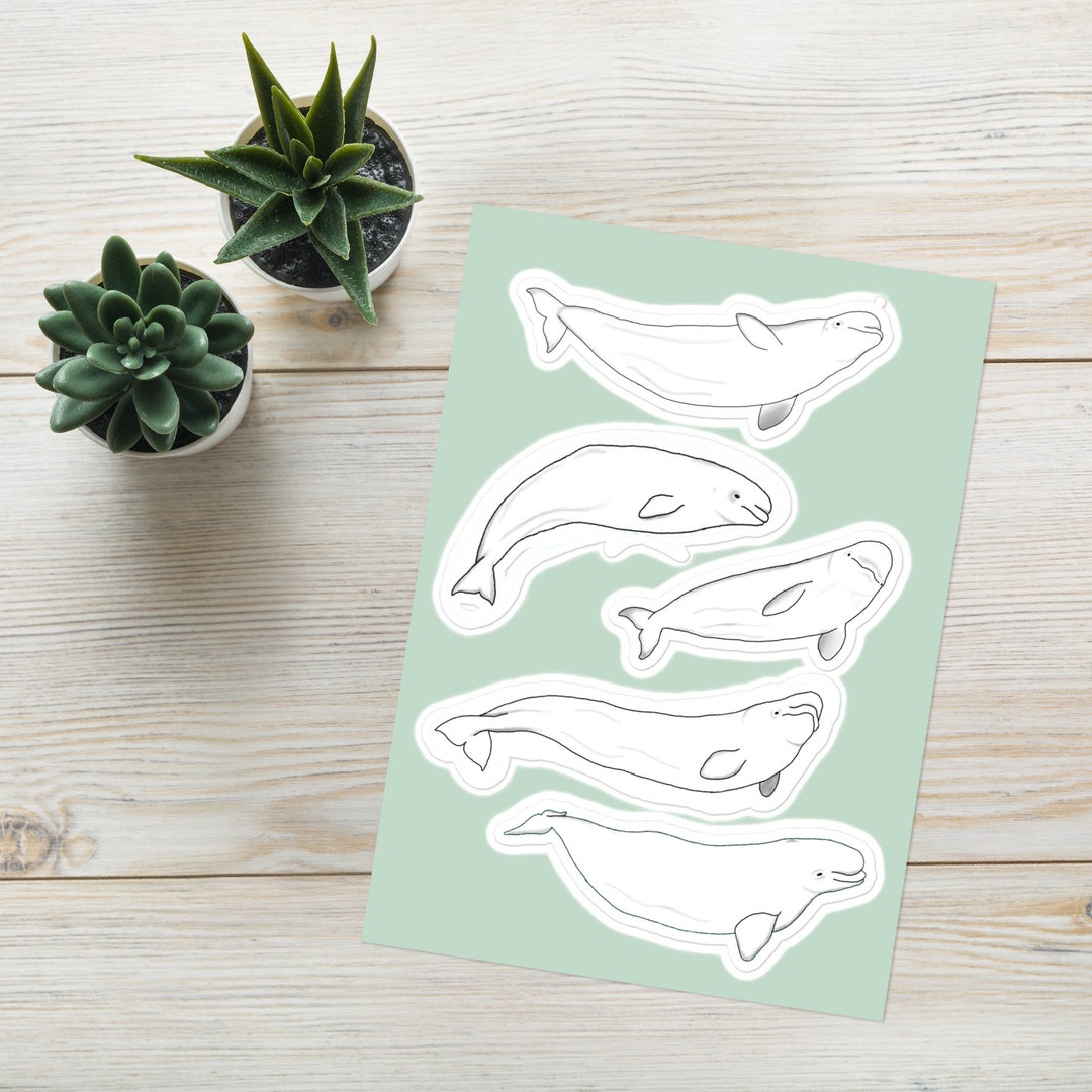 Beluga Whale Sticker Sheet - Etsy