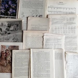 Sacchetti con pagine di libri vecchi, vintage e antichi, ideali per il diario, il decoupage e lo scrapbooking.