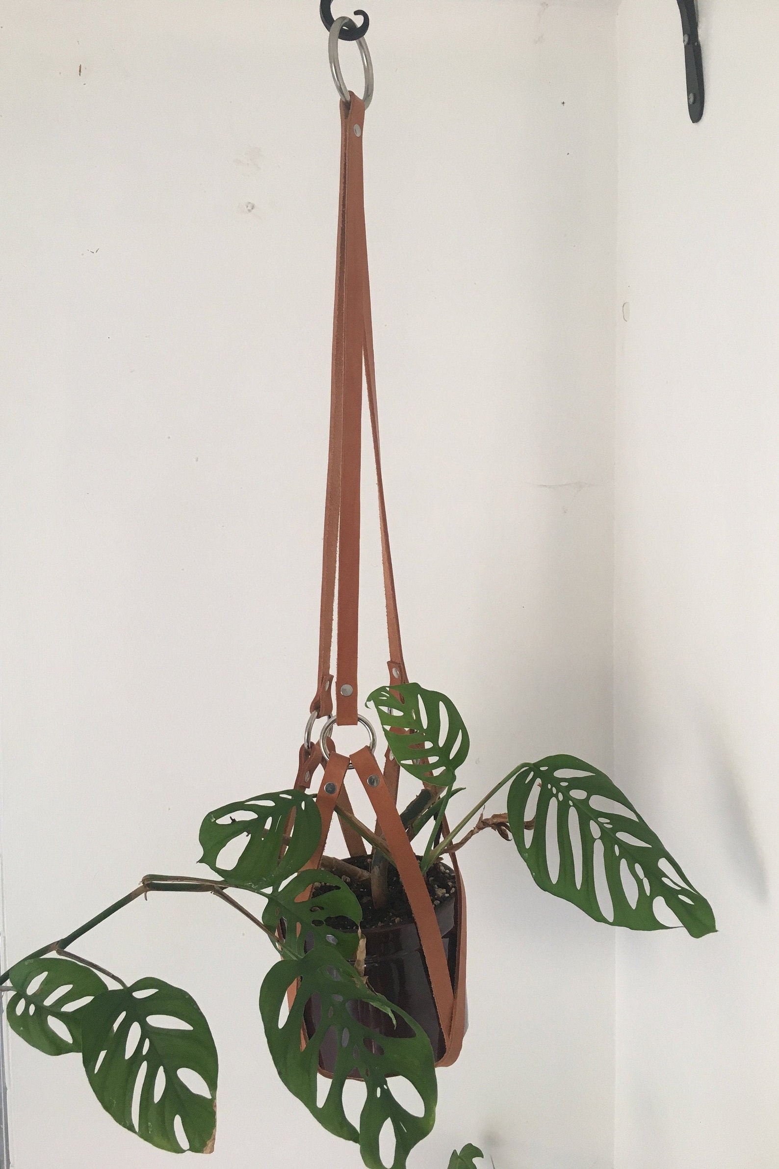 Leather Cross Strap Plant Hanger Etsy