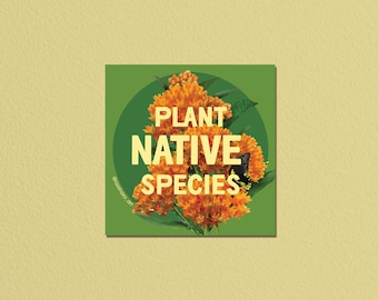 Plant Native Species • High Quality Weatherproof Sticker • 2.5in • Milkweed • Pollinator Garden