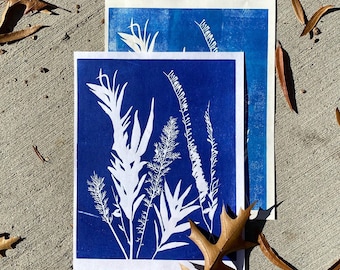 Native Plant Photographic Linocut Print • Cyanotype • Letterpress Printed by Hand • 8.5in x 11in Mystery Print