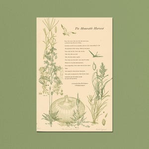 May include: An art print with a beige background and green border features botanical illustrations and text. The title "The Honorable Harvest" is at the top. The print includes drawings of plants, a bird, and text.