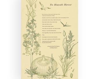 The Honorable Harvest • Giclee of Letterpress Print • 12in x 18in • Braiding Sweetgrass Excerpt