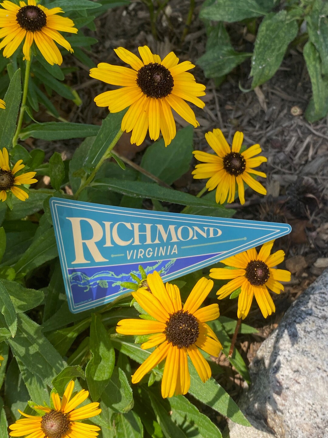 Iconic Rva Signs Richmond, Virginia Pennant Sticker • RVA • James River • High Quality ...