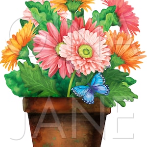May include: A terracotta flower pot with a variety of pink and orange gerbera daisies and a blue butterfly. The pot is decorated with a rustic brown glaze.