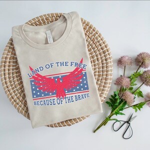 HTV transfer - DIY Transfer - land of the free because of the brave - eagle - red and blue - patriotic