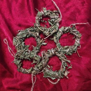 May include: Five green wreaths made of dried leaves and tied together with twine on a red velvet background.