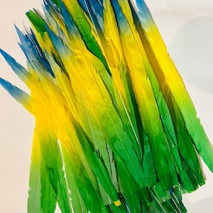 Può includere: Un insieme di piume tinte nei toni del giallo, verde e blu. Le piume sono disposte a strati, con i colori che passano dal giallo al verde e al blu. Le piume sono probabilmente per lavori artigianali o decorativi.