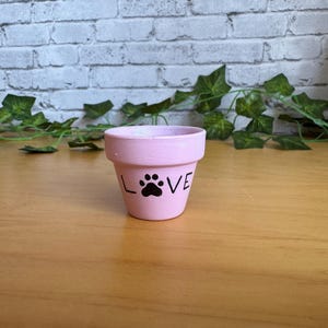 May include: A small, pink flower pot with the word "LOVE" and a paw print design in black. The pot is made of ceramic and sits on a wooden surface. Green leaves and a white brick wall are in the background.