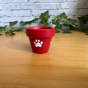 Puede incluir: Una pequeña maceta de cerámica roja con un diseño de huella de pata blanca. La maceta es cilíndrica con un borde ligeramente ensanchado. Se encuentra sobre una superficie de madera, con vegetación y un fondo de ladrillo blanco.