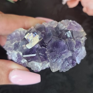 Puede incluir: Un cúmulo de cristales de fluorita púrpura con facetas iridiscentes. Los cristales están dispuestos en una forma natural y orgánica, con algunos cristales más pequeños agrupados alrededor de otros más grandes.