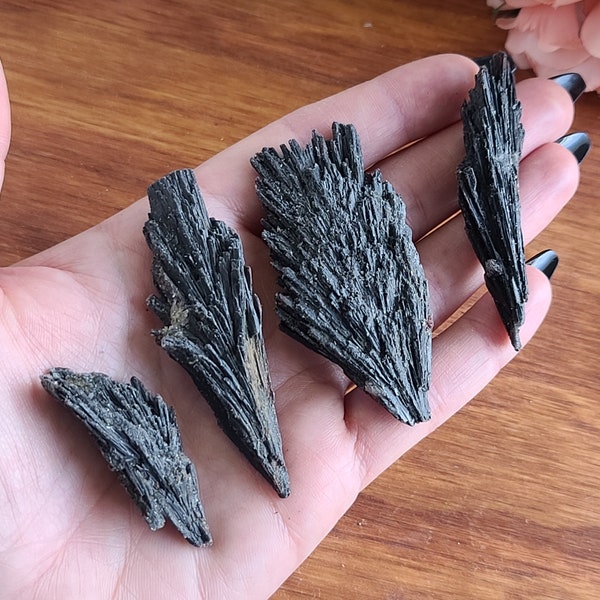 Black Kyanite Fans, Raw Crystal Blades from Brazil, Perfect for Jewelry Making, Metaphysical Gifts, or Crystal Grids