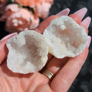 May include: Two white crystal geodes with a rough exterior and a smooth, sparkly interior. The geodes are open and show the crystal formations inside.