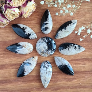 Palm Root Fossil Cabochon, Choose Your Indonesian Gemstone Cab for Jewelry Making, Wire Wrapping, or Crystal Grids