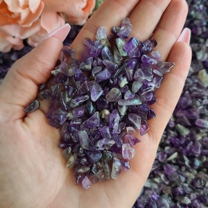 May include: A close-up of a hand holding a pile of small, purple amethyst chips. The chips are various shapes and sizes, and they have a natural, rough texture.