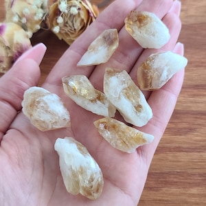 Rough Citrine Quartz Points and Chunks 0.75&quot;-1.25&quot;, Bulk Lots of Raw Gemstones for Jewelry Making or Crystal Grids