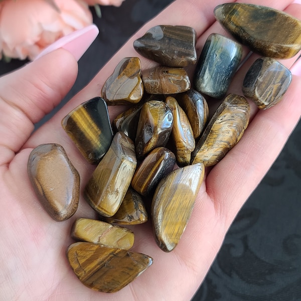 Large Tiger's Eye Tumbled Chips, Choose Bag Size, Undrilled Crystals for Jewelry Making, Wire Wrapping, Orgonite,  or Crystal Grids