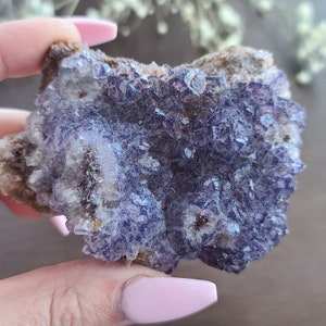 Könnte beinhalten: Ein Cluster aus violetten Fluoritkristallen in einer rauen, braunen Matrix. Die Kristalle sind klein und haben einen glasartigen Glanz. Fluorit ist ein beliebter Edelstein für seine Schönheit und seine heilenden Eigenschaften.