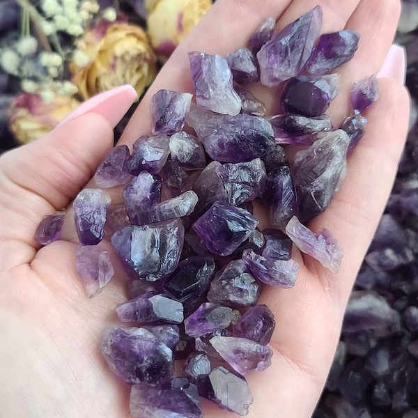 Raw Natural Amethyst Crystal Points and Chips, 5-20 mm, Bulk Lots of Loose Gemstones, Perfect for Jewelry Making or Crystal Grids