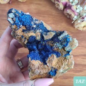 Puede incluir: Una roca marrón rugosa con cristales de azurita azules y verdes incrustados. La roca es aproximadamente del tamaño de una mano.