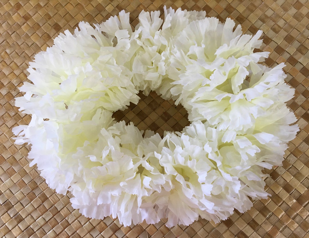 The Carnation Headband