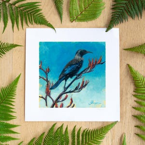 Tui at Patons Rock (NZ) - Giclee Limited Edition Unframed Print