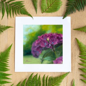 Hydrangeas in the Summer - Giclee Limited Edition Unframed Print