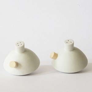 Set of 2 porcelain salt and pepper shakers