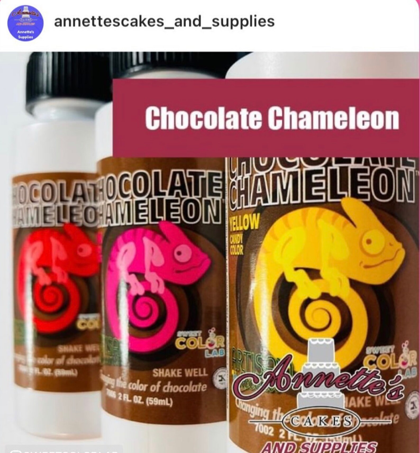 Set of 10 Chocolate Chameleon Colors Includes Free White Etsy