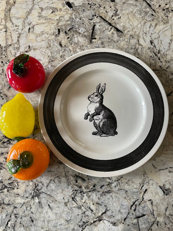 Easter bunny dinnerware online