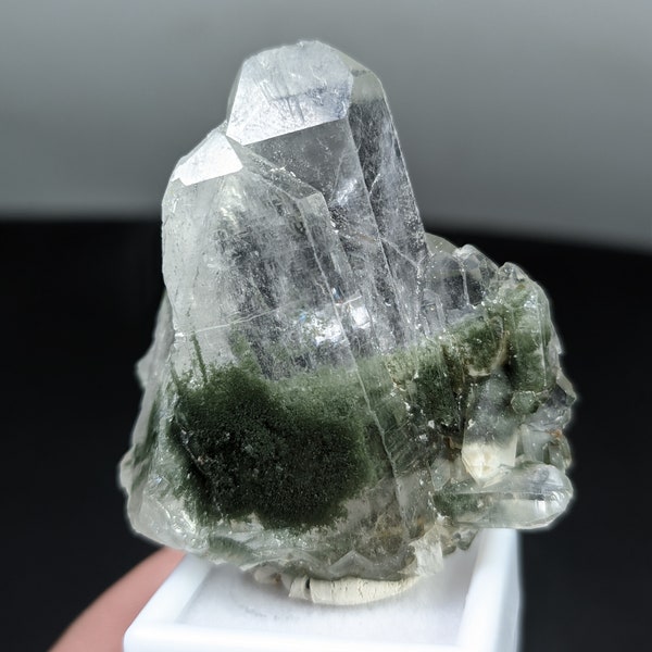 Natural Chlorite included Faden Quartz crystal, interesting formation from Balochistan Pakistan.