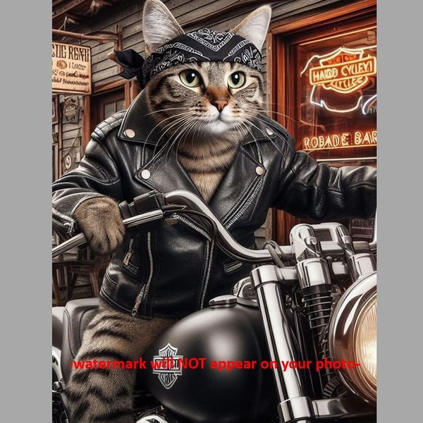5x7 Kitty Cat Biker PHOTO Motorcycle Riding Funny Crazy Cats Photo
