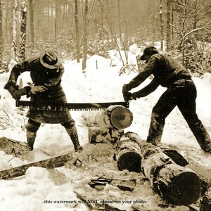 Antique logging saws for hotsell sale