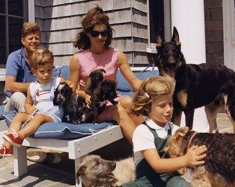 5x7 1963 John F Kennedy Family & Dogs PHOTO President JFK Jackie John Jr Caroline