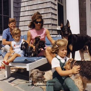 5x7 1963 John F Kennedy Family & Dogs PHOTO President JFK Jackie John Jr Caroline