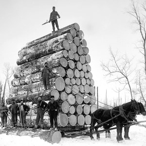 5x7 1905 Hauling Huge Logs PHOTO Lumberjacks Work Logging Michigan Horse Drawn Sled Vintage Ax Men Forest