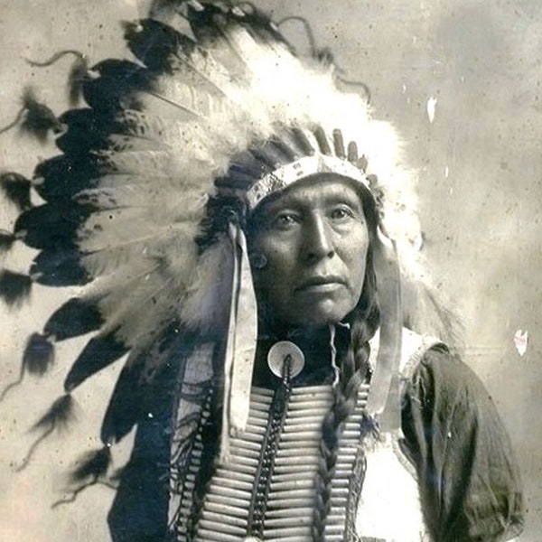 5x7 Chief Flying Hawk PHOTO Lakota Indian, Battle of the Little Bighorn Survivor Custer's Last Stand Native American, Crazy Horse Cousin