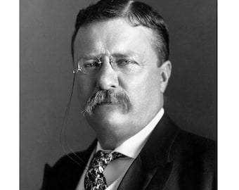 The Man In The Arena Speech By Theodore Roosevelt Drawing By Desiderata - Foto 10