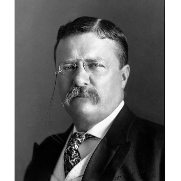 5x7 1904 Theodore Teddy Roosevelt FOTO Retrato del presidente de ee.UU.