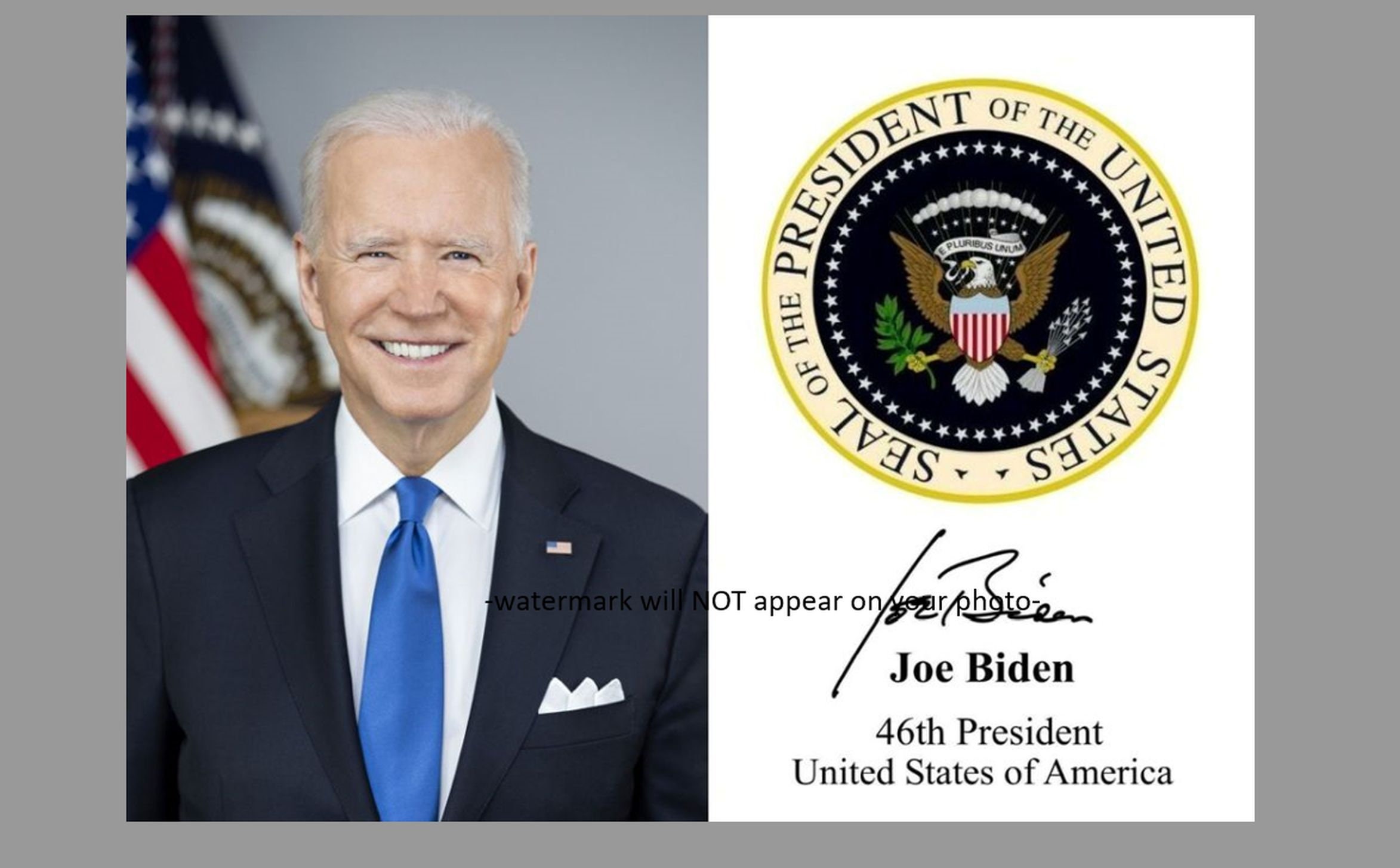 5x7 ジョー・バイデン大統領 公式写真 ポートレート アートプリント