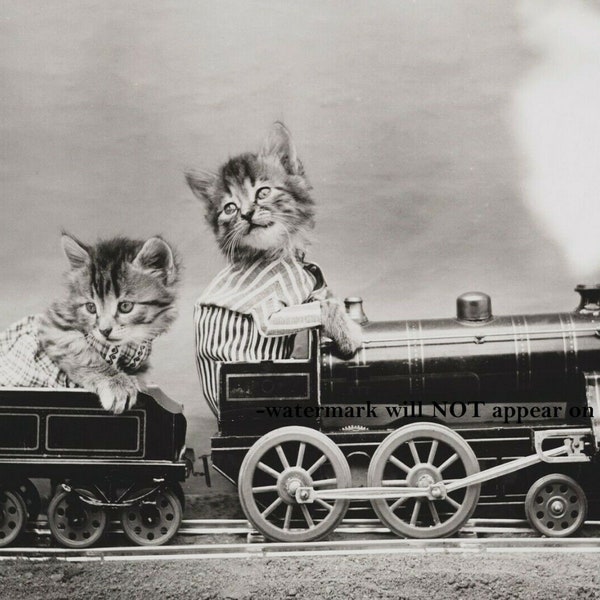 4x6 Vintage Kitty Train Conductor PHOTO Funny 1914 Reprinted Pic Cats on Railroad Locomotive Playing