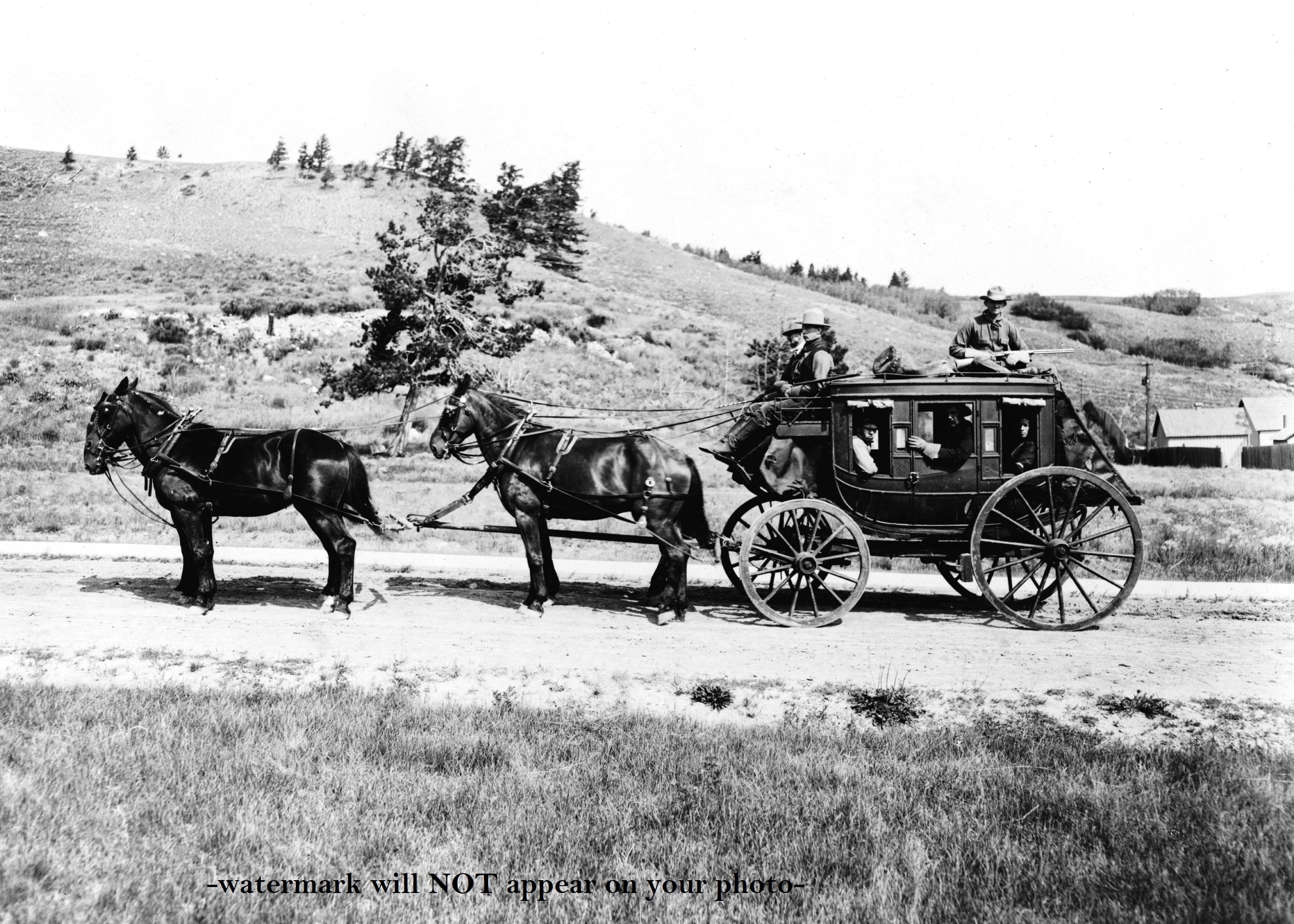 5x7 1910 Wild West Stagecoach PHOTO Yellowstone National Park, Horses ...