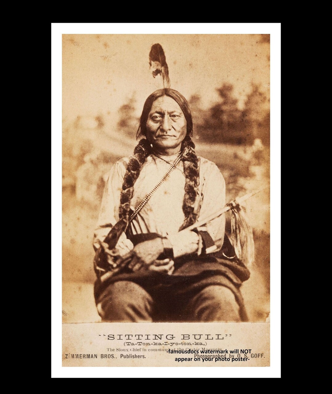 11x17 Chief Sitting Bull PHOTO Poster Portrait Lakota Indian, Battle of