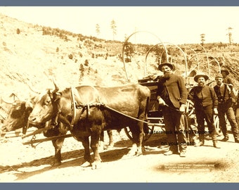 5x7 Cercatori Gold Rush Minatori FOTO Carro coperto Wild West Mining Cowboys Mine 1889 Dakota Territory