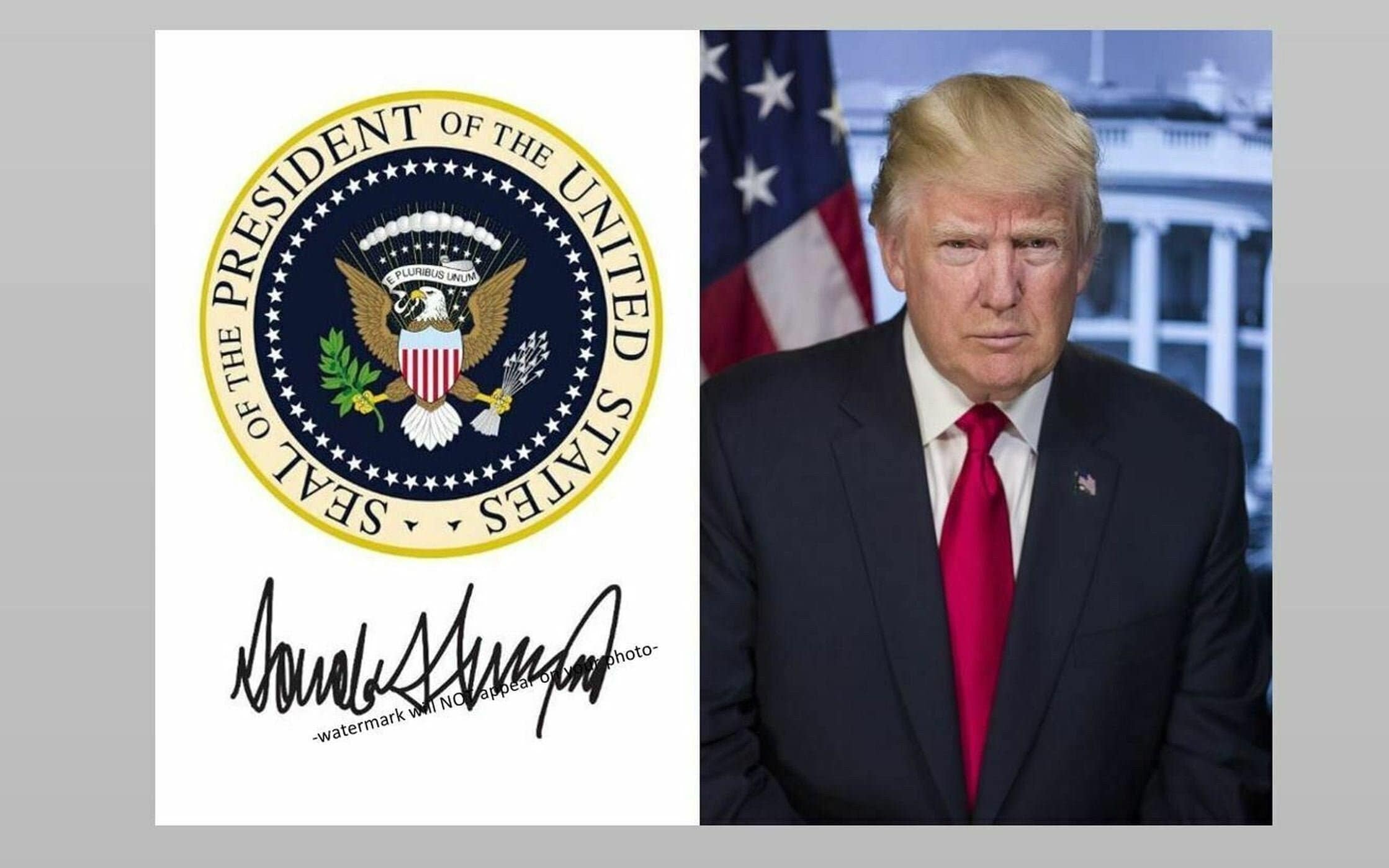 5x7 President Donald Trump Official PHOTO Portrait Art Print Seal Autograph Repro 5x7 Signed Repro Signature