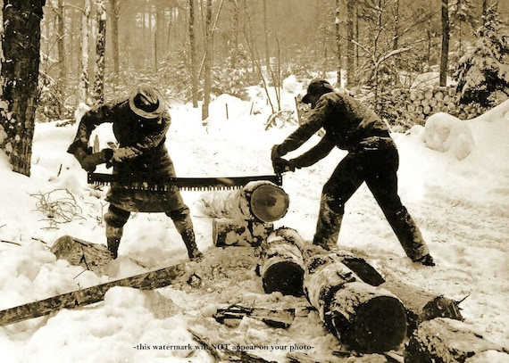 5x7 Vintage Logging Lumberjacks PHOTO Maine Firewood Saw Logging