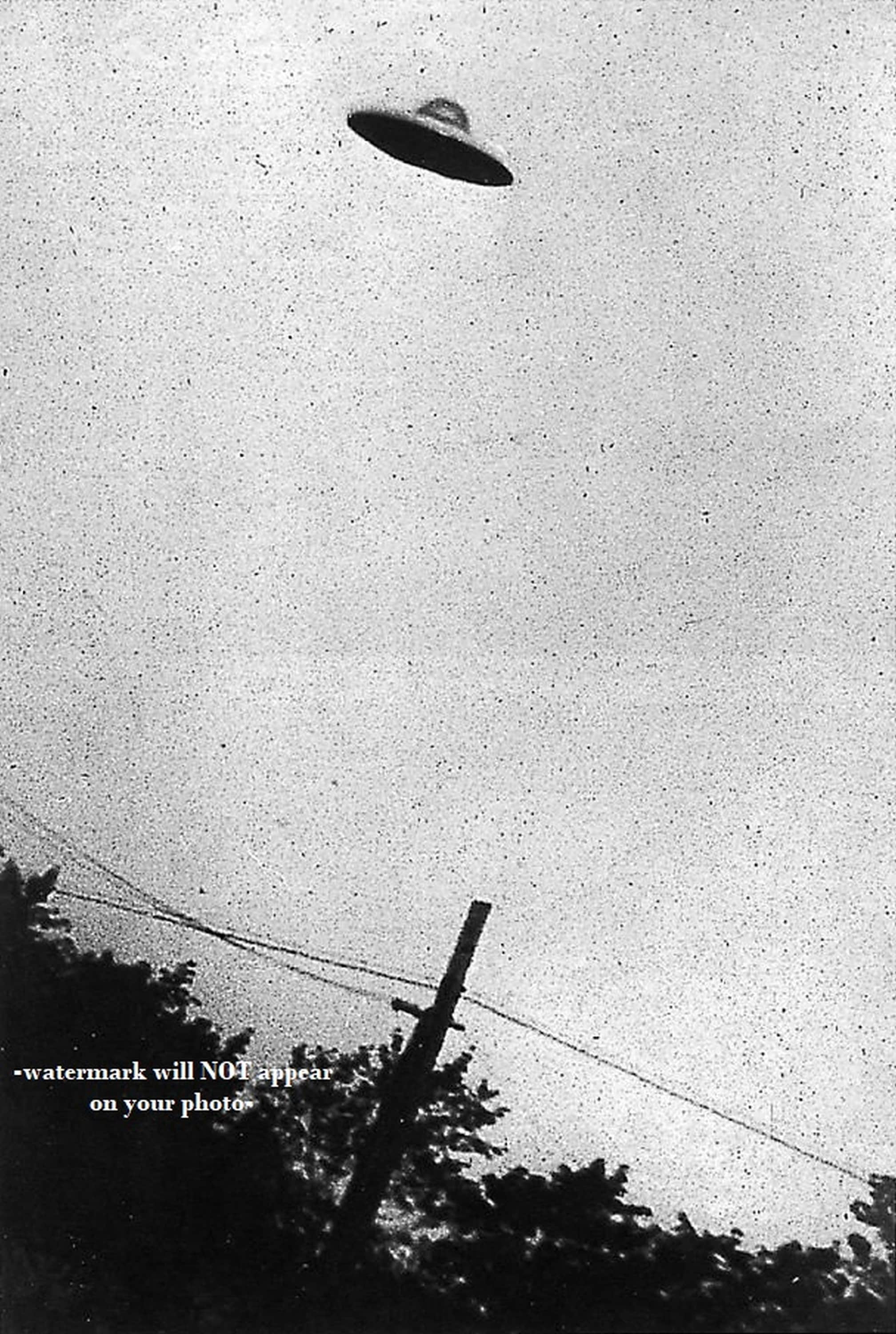 【中古】 ヨーロッパのUFO 1952 UFO Flying Saucer PHOTO Passaic New Jersey Space Aliens CIA