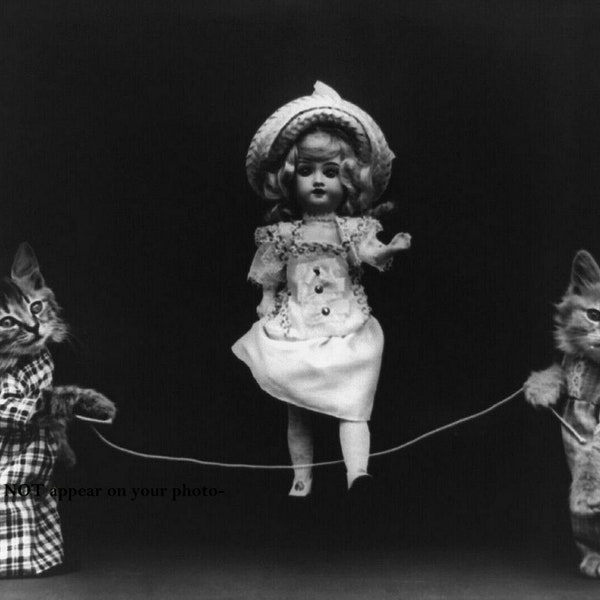 4x6 Vintage Cats Jumping Rope PHOTO Funny Reprinted 1914 Pic Doll Having Fun with Kittens Playing