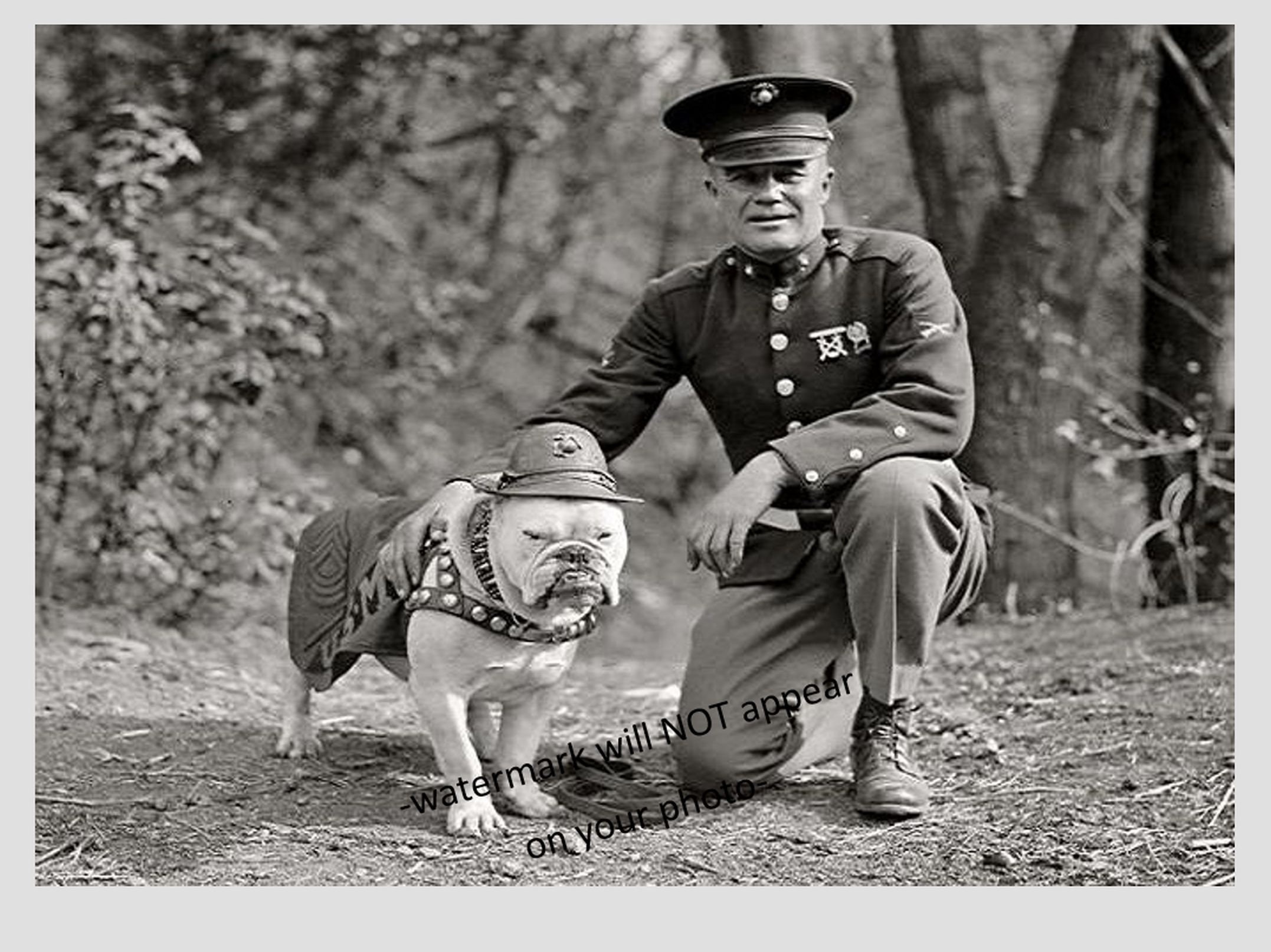 U.S. MARINES ミリタリー　犬の像（軍帽着用） Kiloniner】ミリタリーフーディにインスパイアされた愛犬・愛猫用「H1
